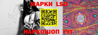 apvp Можга