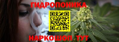 apvp Можга
