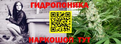 apvp Можга