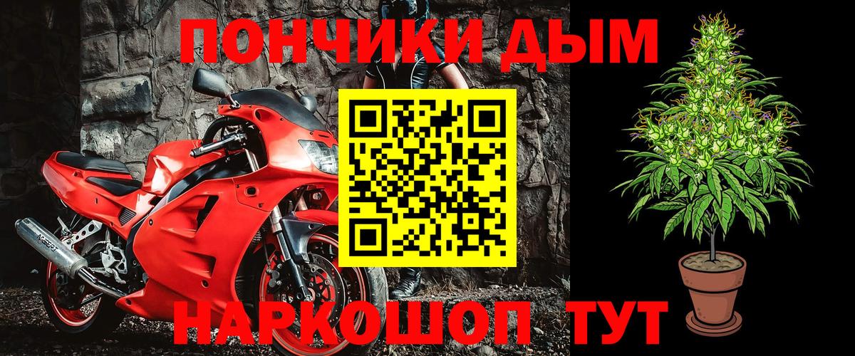 Канабис сатива Верхняя Пышма